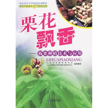 板栗
