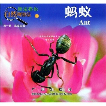 法布爾昆蟲
