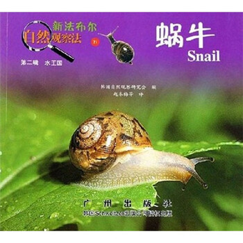 新