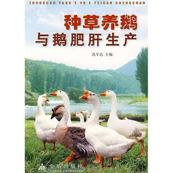 養(yǎng)鵝