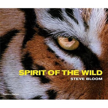 spirit