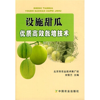 甜瓜
