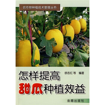 甜瓜