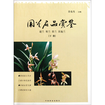 墨蘭