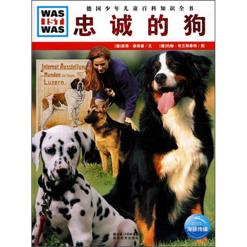 什么是什么