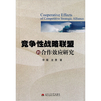 戰(zhàn)略研究
