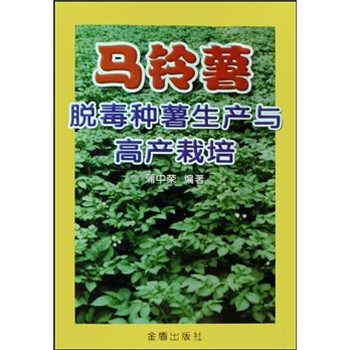 馬鈴薯