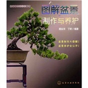 盆景制作