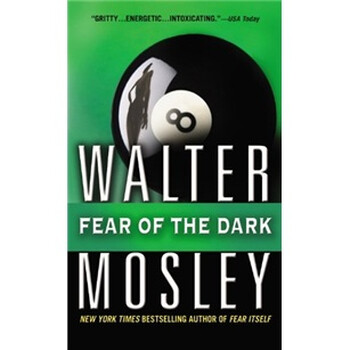 Fear of the Dark: A Novel簡介，目錄書摘