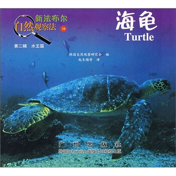新