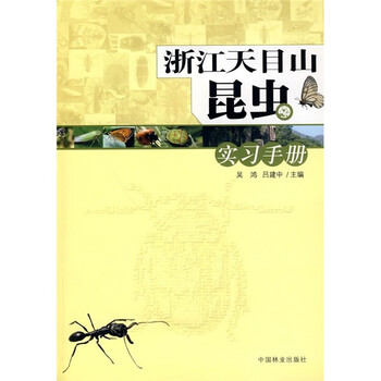 實(shí)習(xí)手冊(cè)