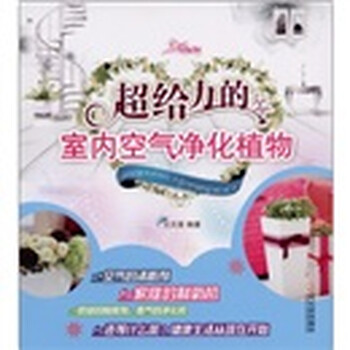 的室內(nèi)空氣凈化植物