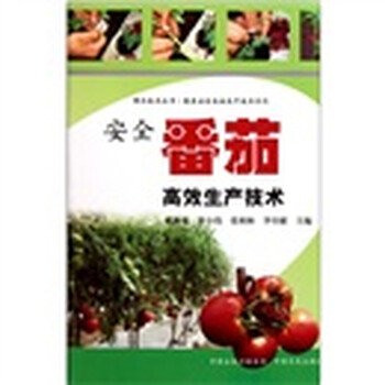 蔬菜番茄