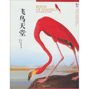 飛鳥(niǎo)天堂