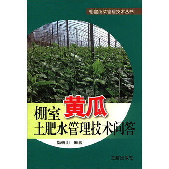 蔬菜黃瓜