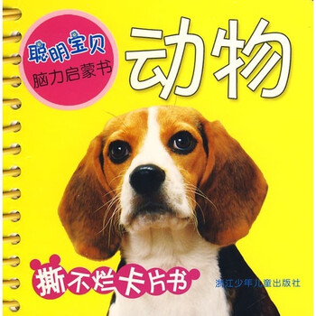啟蒙書(shū)