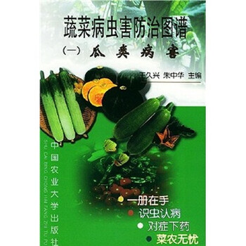 蔬菜病蟲(chóng)害