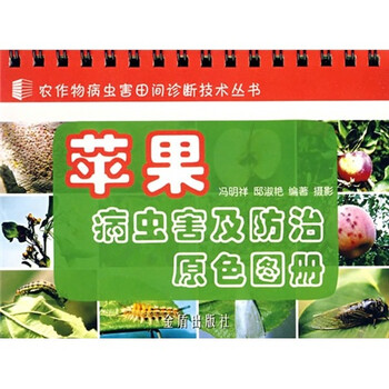 蘋果