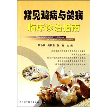 臨床指南