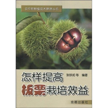 板栗