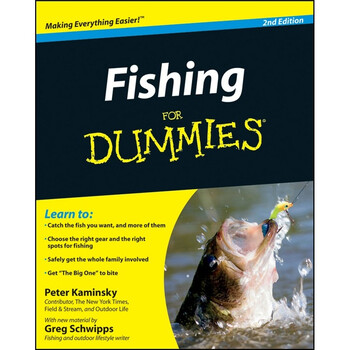 for dummies