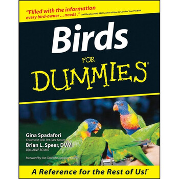 for dummies