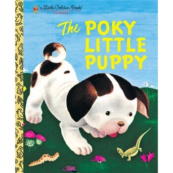 puppy小狗