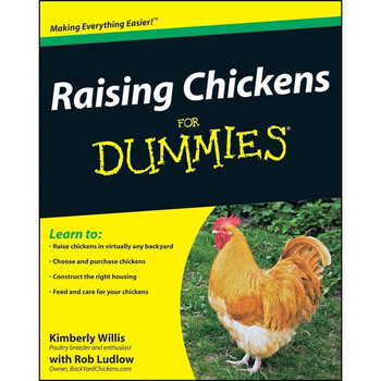 for dummies