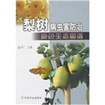 梨樹(shù)