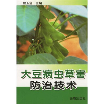 大豆