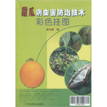 甜瓜