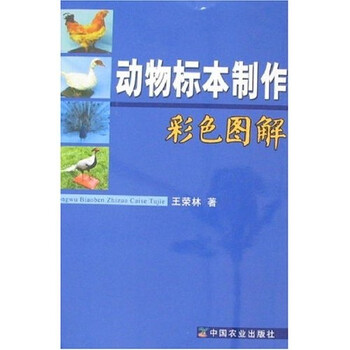 動物標本制作