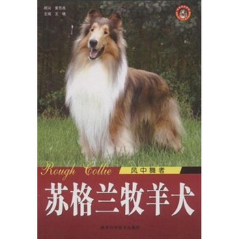 牧羊犬
