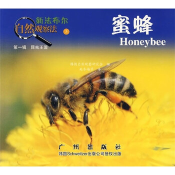 法布爾昆蟲