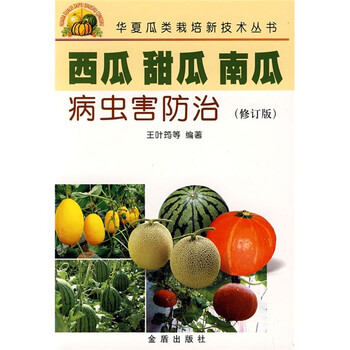 甜瓜