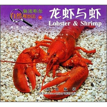 龍蝦