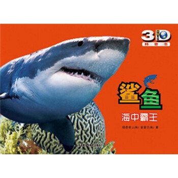 鯊魚