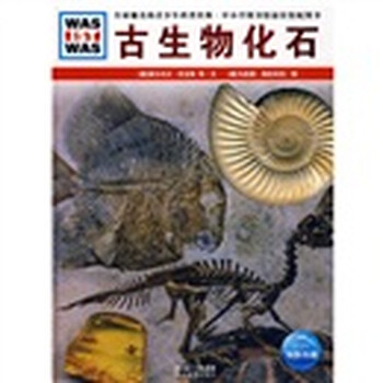 什么是什么