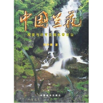 中國蘭花