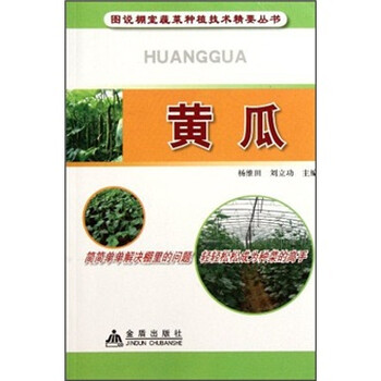 蔬菜黃瓜