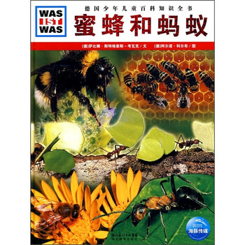 什么是什么