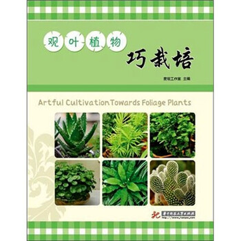植物栽培