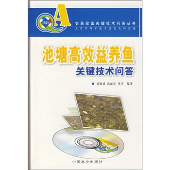 vcd光盤(pán)