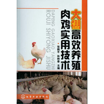 養(yǎng)殖肉雞