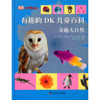 dk兒童奇趣