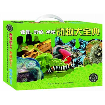 大寶
