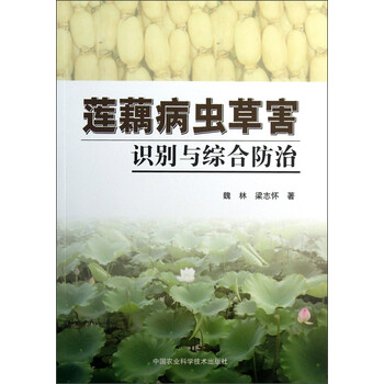 蓮藕