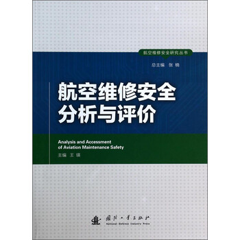 安全分析