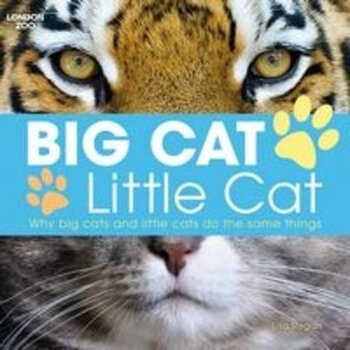 big little