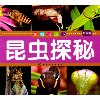 昆蟲